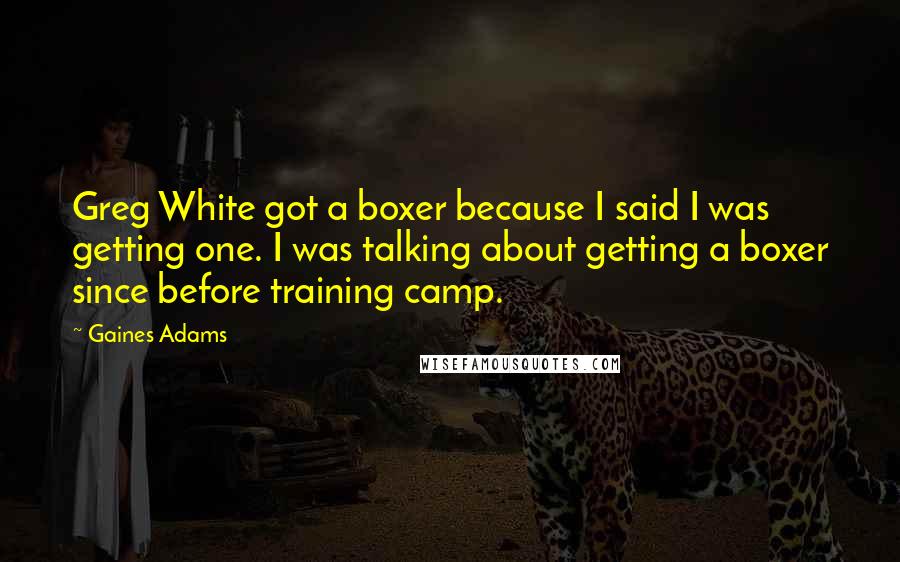 Gaines Adams Quotes: Greg White got a boxer because I said I was getting one. I was talking about getting a boxer since before training camp.