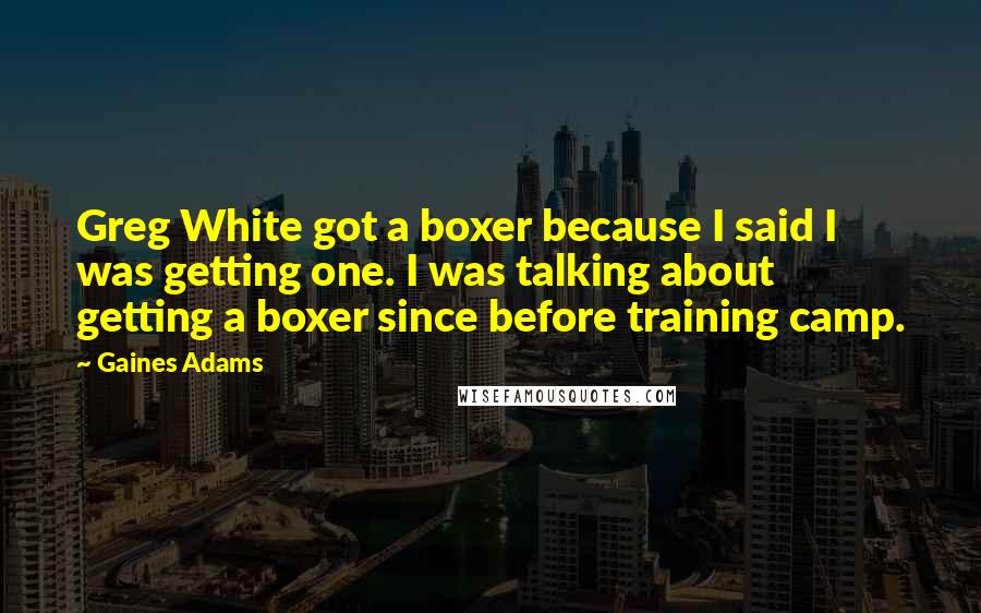 Gaines Adams Quotes: Greg White got a boxer because I said I was getting one. I was talking about getting a boxer since before training camp.