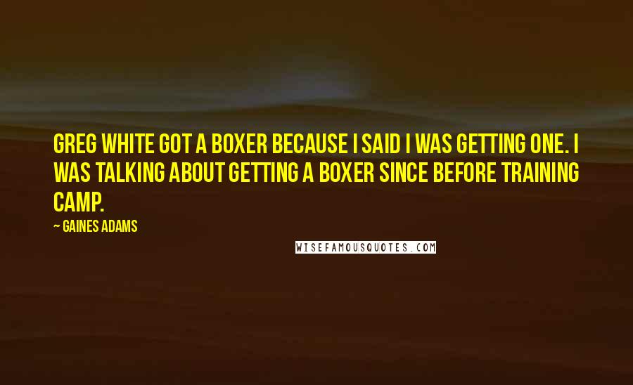 Gaines Adams Quotes: Greg White got a boxer because I said I was getting one. I was talking about getting a boxer since before training camp.