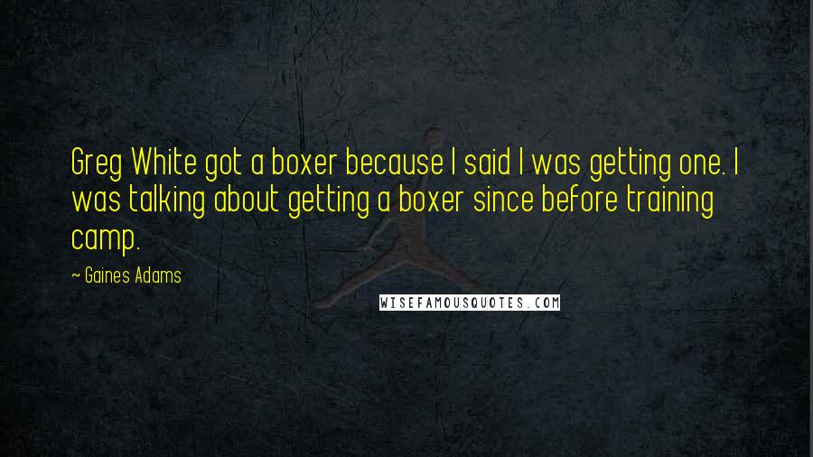 Gaines Adams Quotes: Greg White got a boxer because I said I was getting one. I was talking about getting a boxer since before training camp.