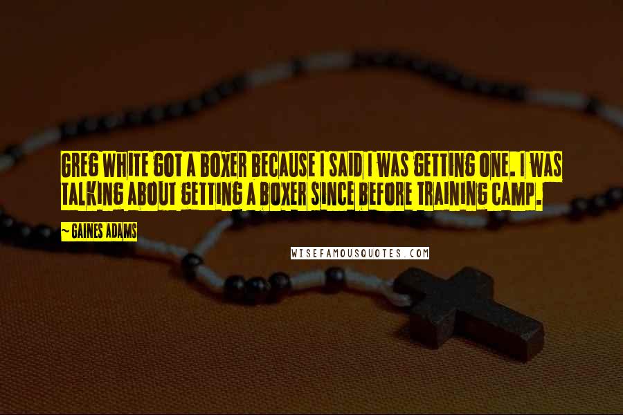 Gaines Adams Quotes: Greg White got a boxer because I said I was getting one. I was talking about getting a boxer since before training camp.