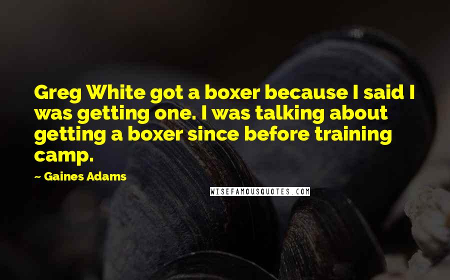 Gaines Adams Quotes: Greg White got a boxer because I said I was getting one. I was talking about getting a boxer since before training camp.