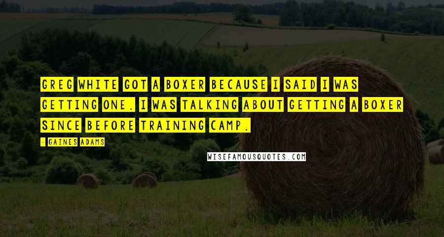 Gaines Adams Quotes: Greg White got a boxer because I said I was getting one. I was talking about getting a boxer since before training camp.