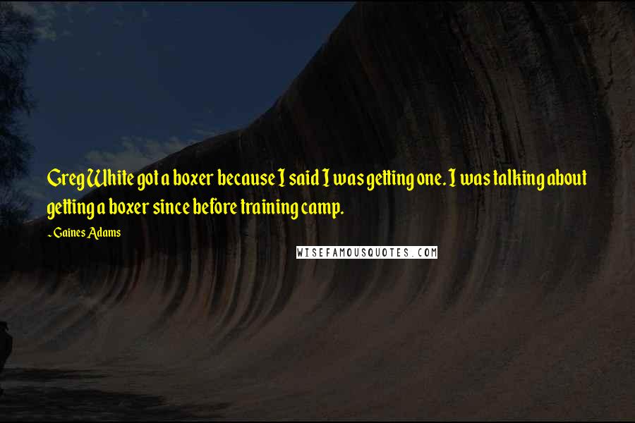 Gaines Adams Quotes: Greg White got a boxer because I said I was getting one. I was talking about getting a boxer since before training camp.