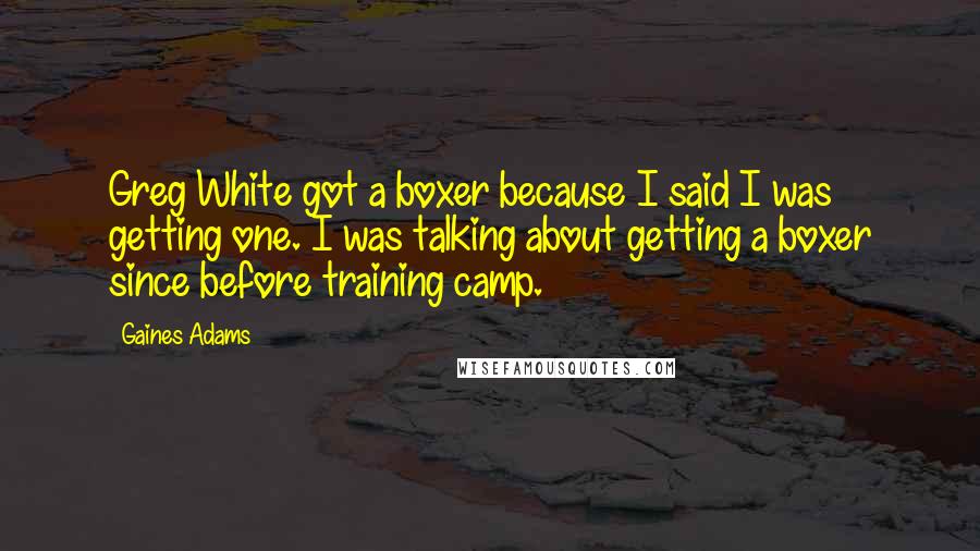 Gaines Adams Quotes: Greg White got a boxer because I said I was getting one. I was talking about getting a boxer since before training camp.