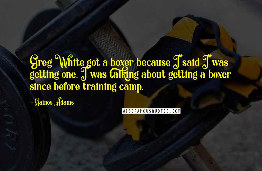 Gaines Adams Quotes: Greg White got a boxer because I said I was getting one. I was talking about getting a boxer since before training camp.