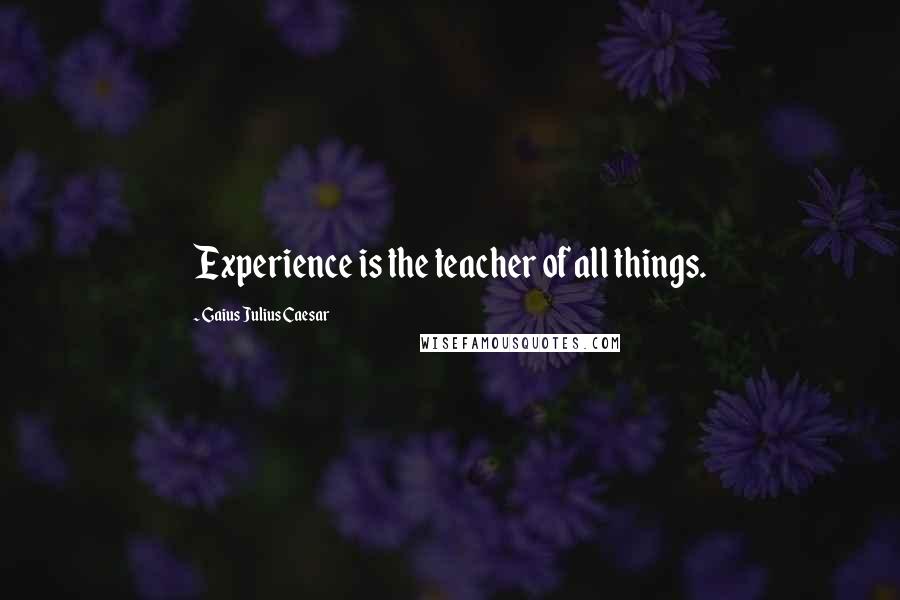 Gaius Julius Caesar Quotes: Experience is the teacher of all things.