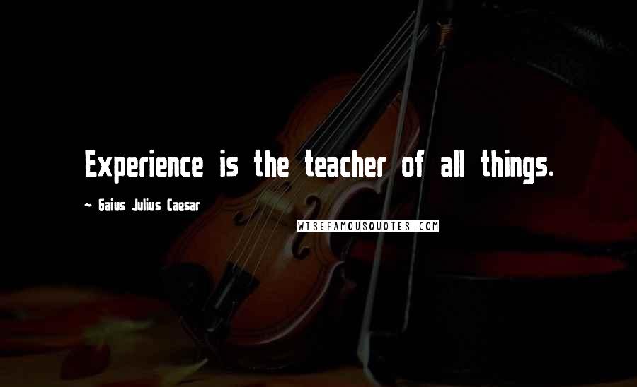 Gaius Julius Caesar Quotes: Experience is the teacher of all things.