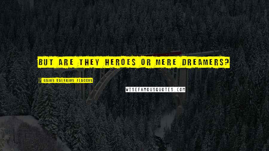 Gaius Valerius Flaccus Quotes: But are they heroes or mere dreamers?