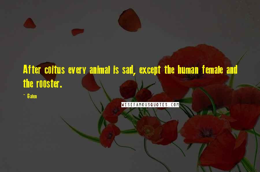 Galen Quotes: After coitus every animal is sad, except the human female and the rooster.