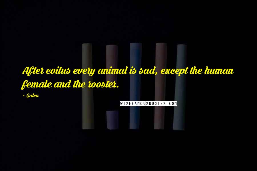 Galen Quotes: After coitus every animal is sad, except the human female and the rooster.