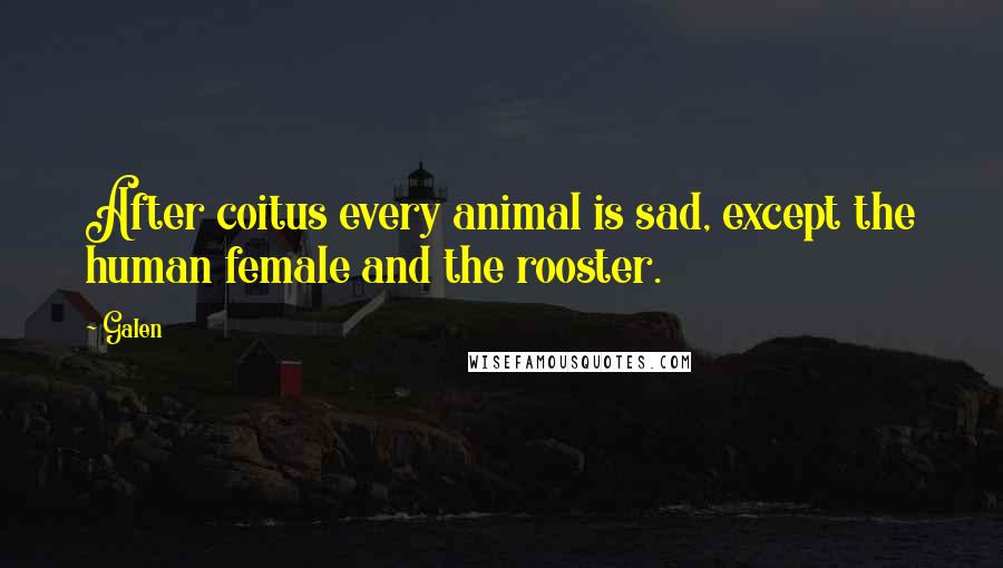 Galen Quotes: After coitus every animal is sad, except the human female and the rooster.