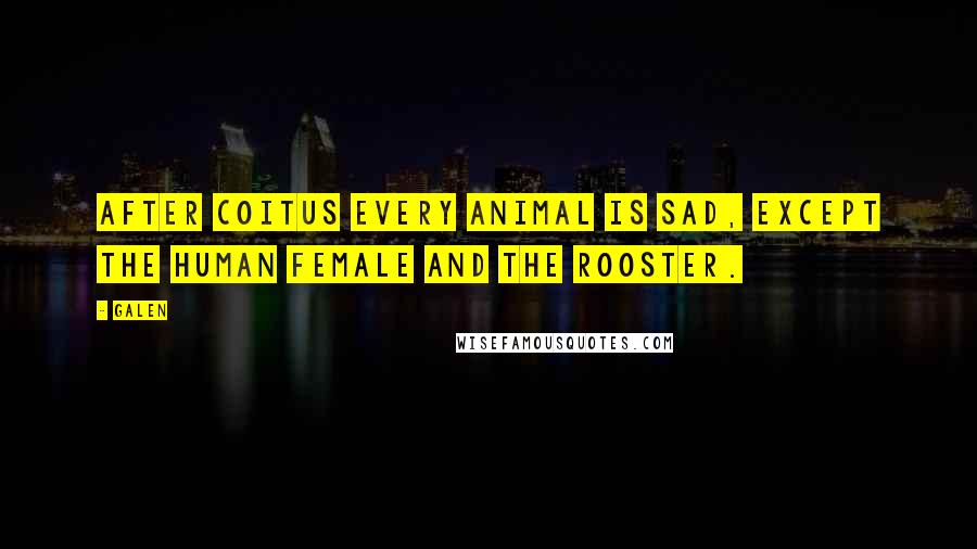 Galen Quotes: After coitus every animal is sad, except the human female and the rooster.