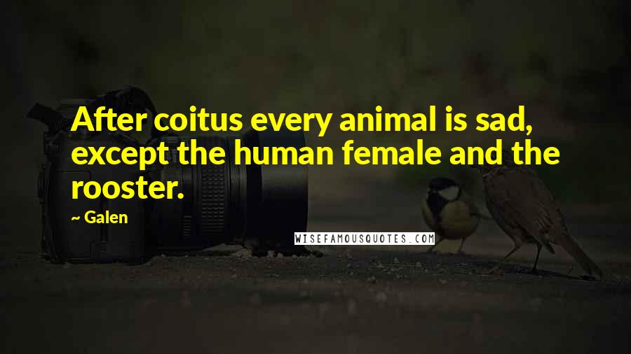 Galen Quotes: After coitus every animal is sad, except the human female and the rooster.
