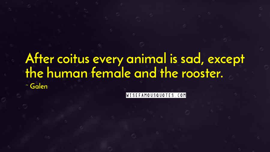 Galen Quotes: After coitus every animal is sad, except the human female and the rooster.