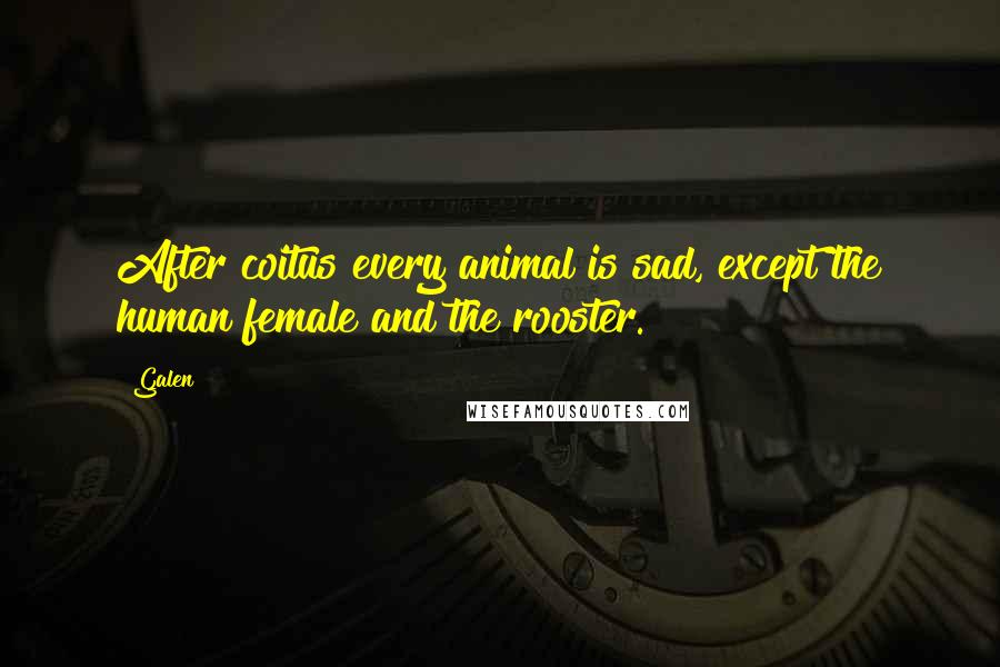 Galen Quotes: After coitus every animal is sad, except the human female and the rooster.