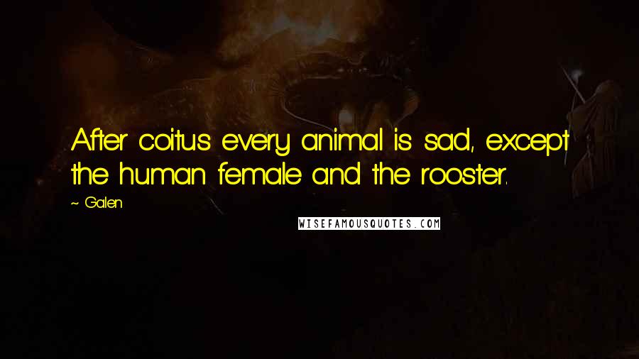 Galen Quotes: After coitus every animal is sad, except the human female and the rooster.