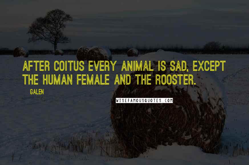 Galen Quotes: After coitus every animal is sad, except the human female and the rooster.