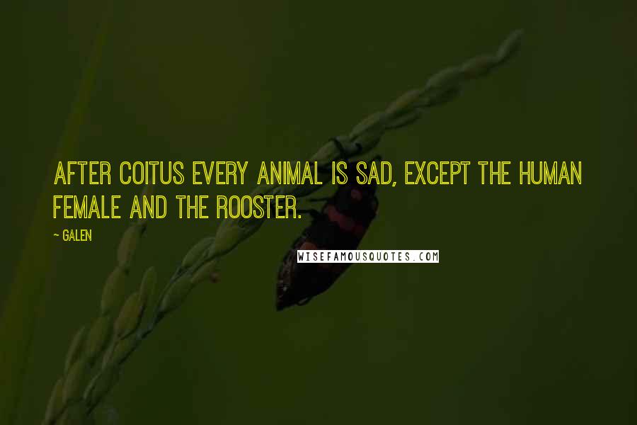 Galen Quotes: After coitus every animal is sad, except the human female and the rooster.