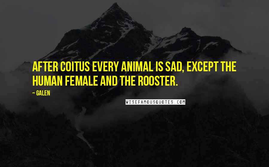 Galen Quotes: After coitus every animal is sad, except the human female and the rooster.