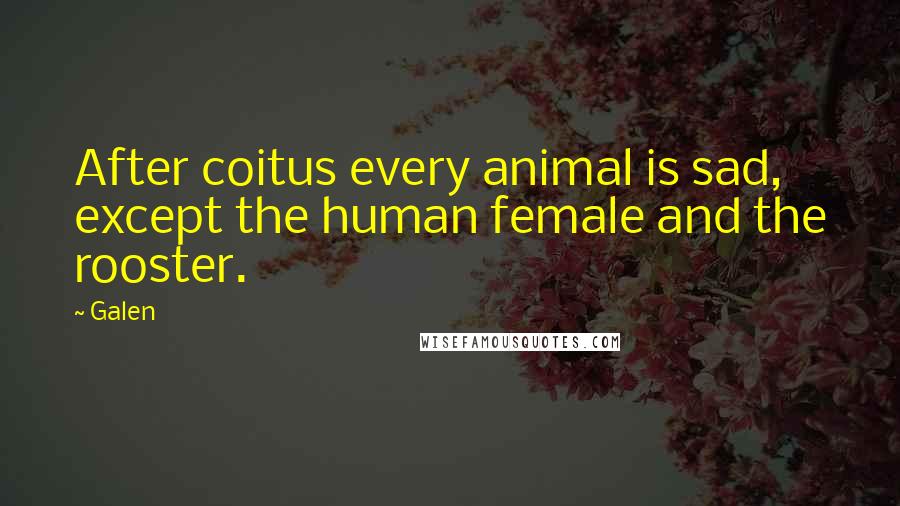 Galen Quotes: After coitus every animal is sad, except the human female and the rooster.