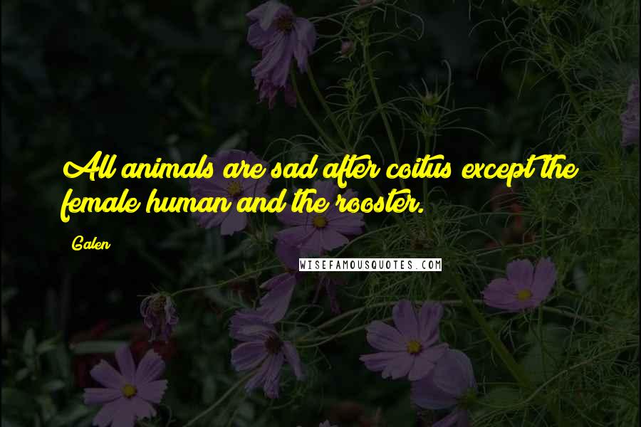 Galen Quotes: All animals are sad after coitus except the female human and the rooster.