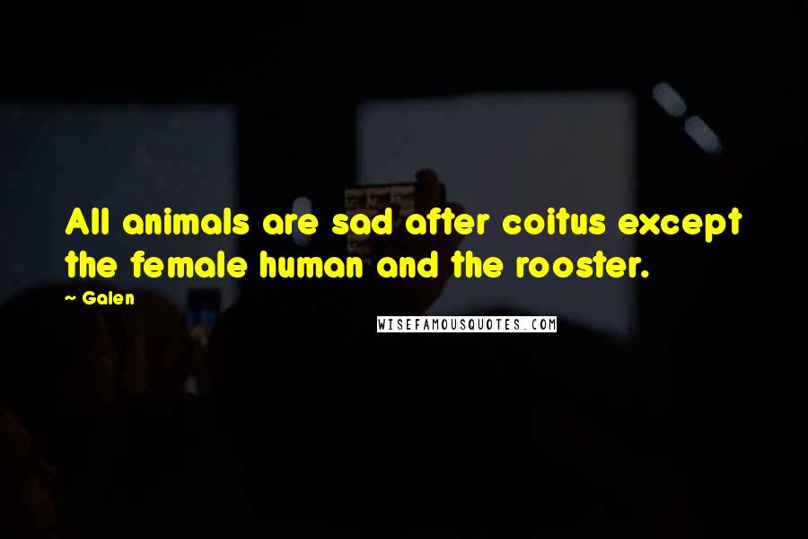 Galen Quotes: All animals are sad after coitus except the female human and the rooster.