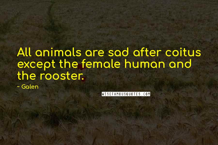 Galen Quotes: All animals are sad after coitus except the female human and the rooster.