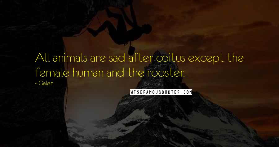 Galen Quotes: All animals are sad after coitus except the female human and the rooster.