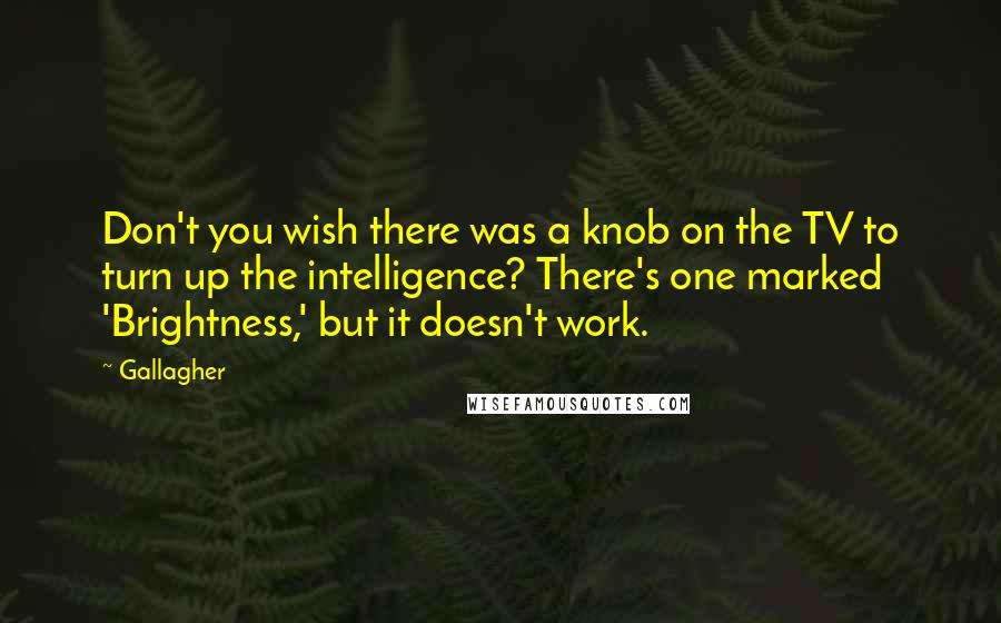 Gallagher Quotes: Don't you wish there was a knob on the TV to turn up the intelligence? There's one marked 'Brightness,' but it doesn't work.