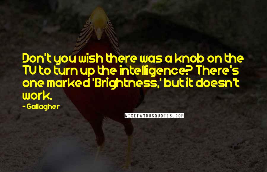 Gallagher Quotes: Don't you wish there was a knob on the TV to turn up the intelligence? There's one marked 'Brightness,' but it doesn't work.