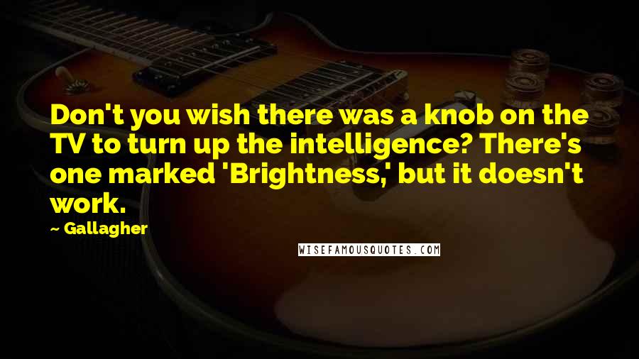 Gallagher Quotes: Don't you wish there was a knob on the TV to turn up the intelligence? There's one marked 'Brightness,' but it doesn't work.