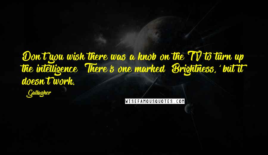 Gallagher Quotes: Don't you wish there was a knob on the TV to turn up the intelligence? There's one marked 'Brightness,' but it doesn't work.