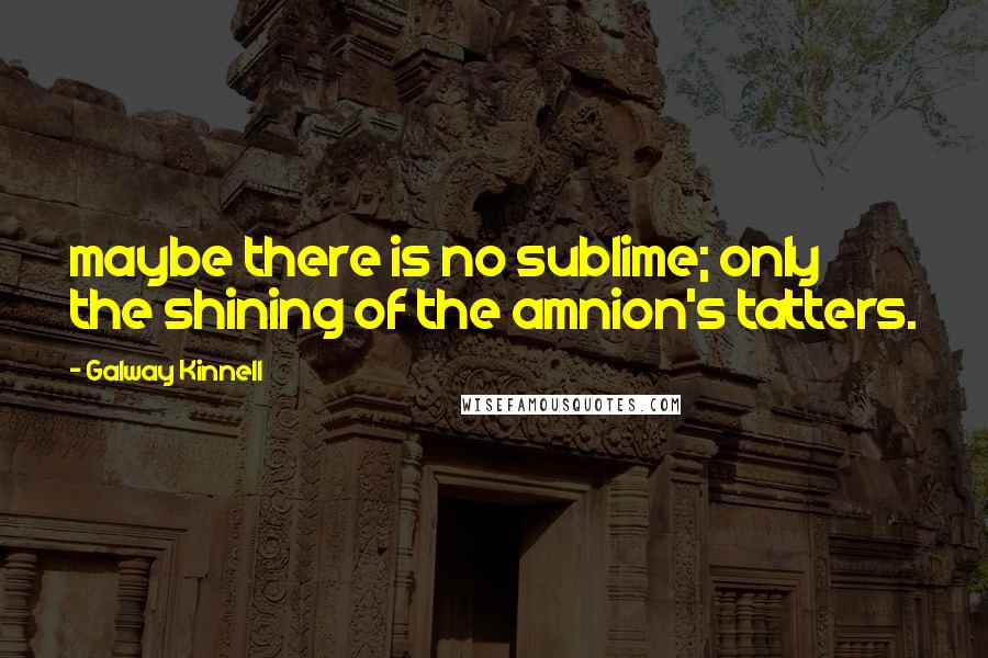 Galway Kinnell Quotes: maybe there is no sublime; only the shining of the amnion's tatters.