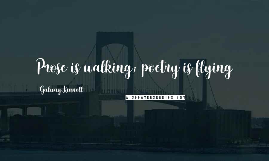 Galway Kinnell Quotes: Prose is walking; poetry is flying