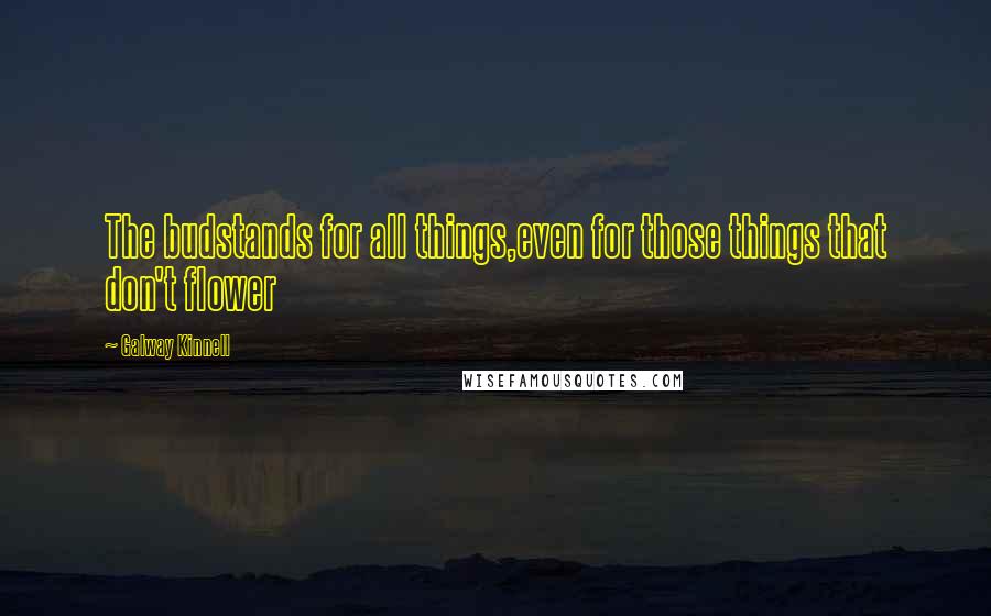 Galway Kinnell Quotes: The budstands for all things,even for those things that don't flower