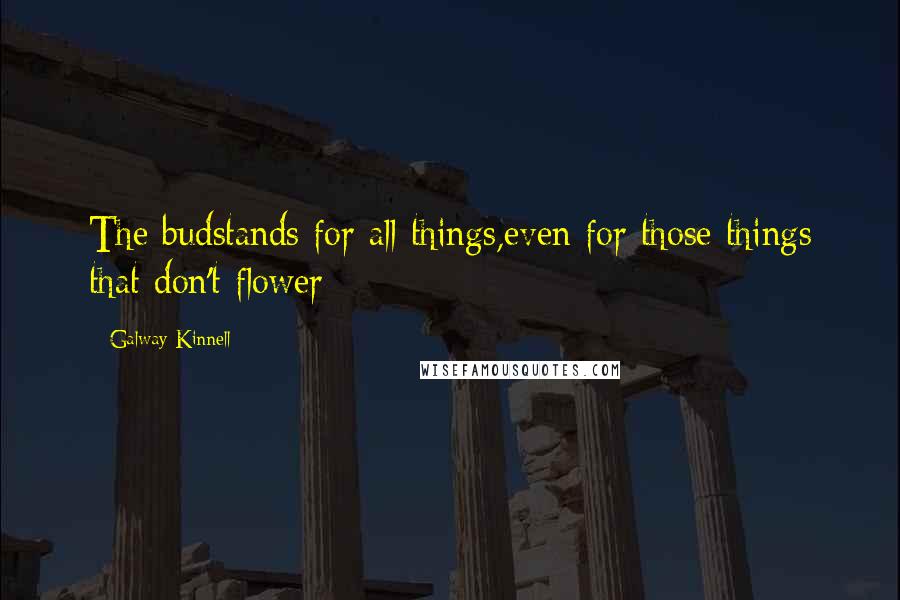 Galway Kinnell Quotes: The budstands for all things,even for those things that don't flower