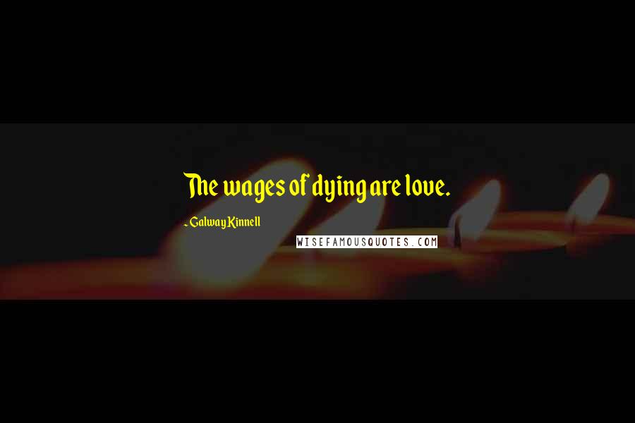 Galway Kinnell Quotes: The wages of dying are love.