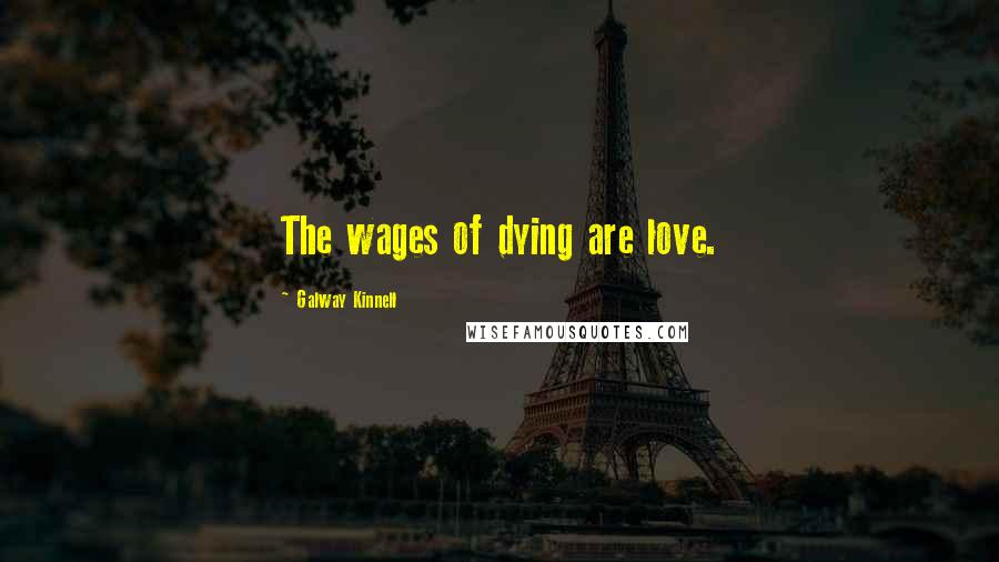 Galway Kinnell Quotes: The wages of dying are love.
