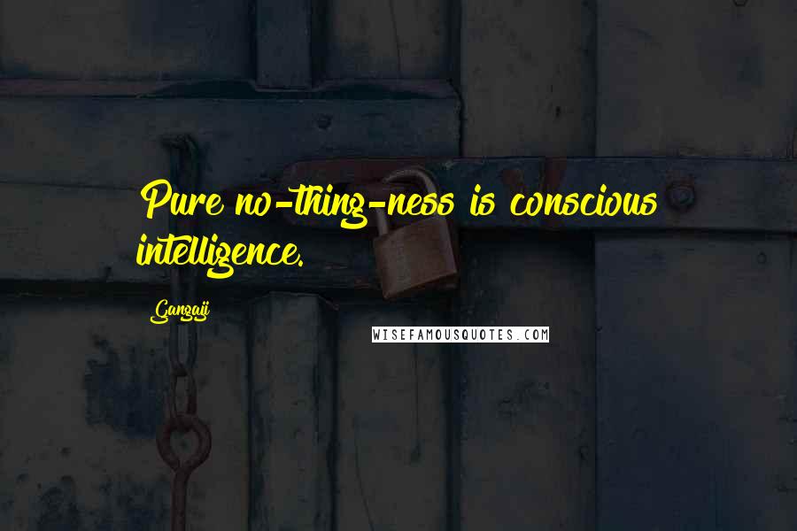 Gangaji Quotes: Pure no-thing-ness is conscious intelligence.