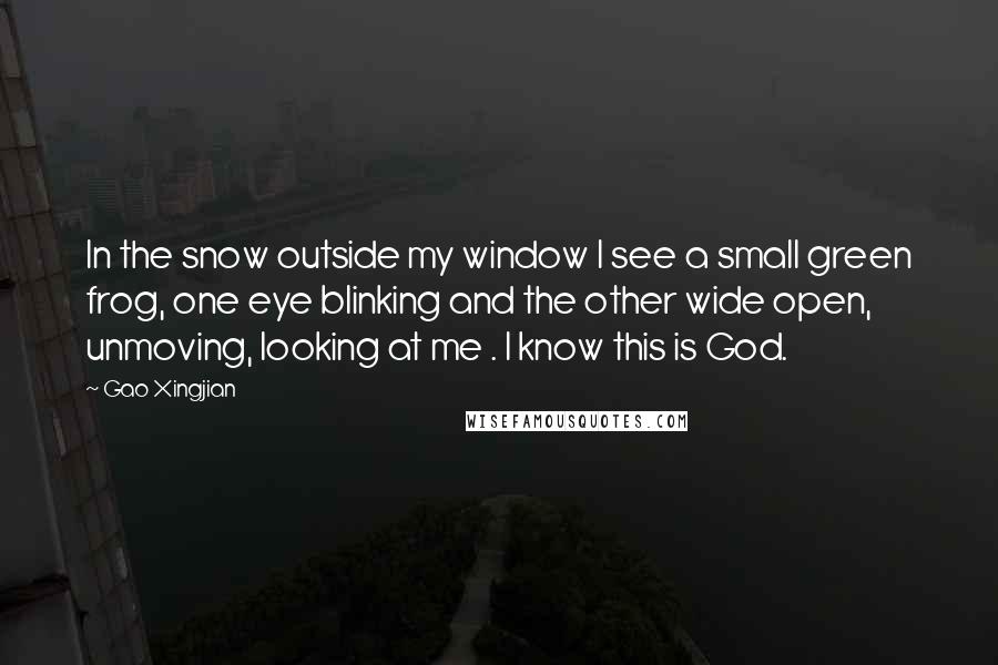 Gao Xingjian Quotes: In the snow outside my window I see a small green frog, one eye blinking and the other wide open, unmoving, looking at me . I know this is God.