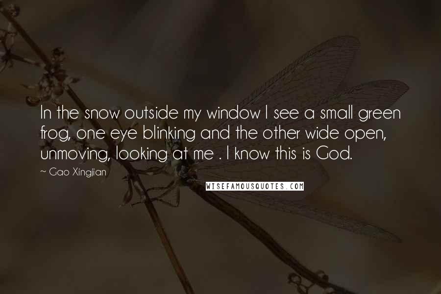 Gao Xingjian Quotes: In the snow outside my window I see a small green frog, one eye blinking and the other wide open, unmoving, looking at me . I know this is God.