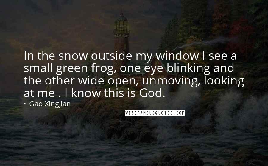 Gao Xingjian Quotes: In the snow outside my window I see a small green frog, one eye blinking and the other wide open, unmoving, looking at me . I know this is God.