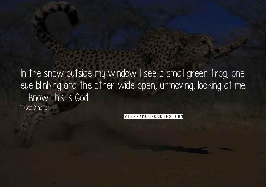 Gao Xingjian Quotes: In the snow outside my window I see a small green frog, one eye blinking and the other wide open, unmoving, looking at me . I know this is God.