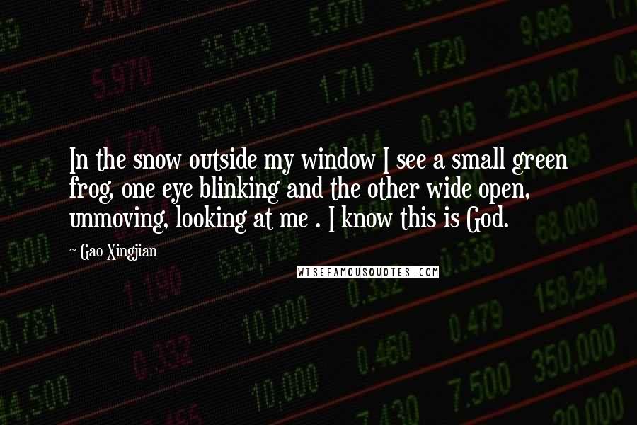 Gao Xingjian Quotes: In the snow outside my window I see a small green frog, one eye blinking and the other wide open, unmoving, looking at me . I know this is God.