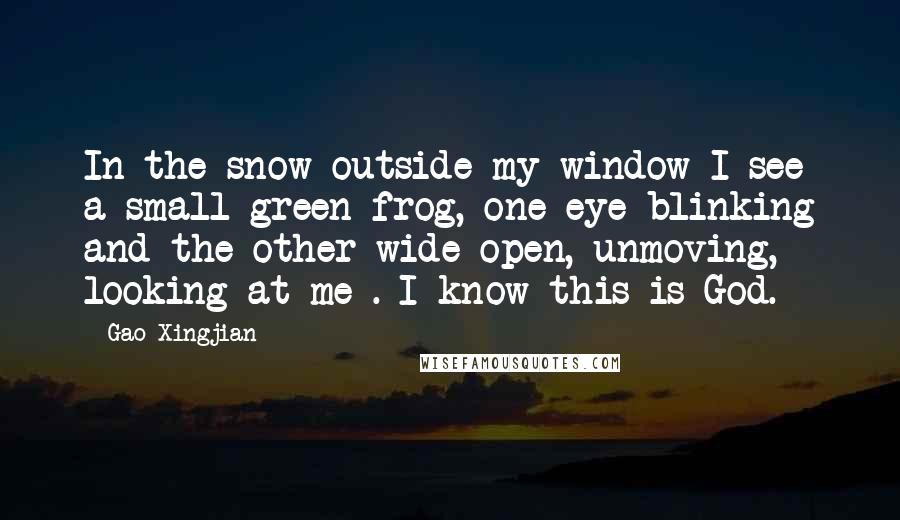 Gao Xingjian Quotes: In the snow outside my window I see a small green frog, one eye blinking and the other wide open, unmoving, looking at me . I know this is God.