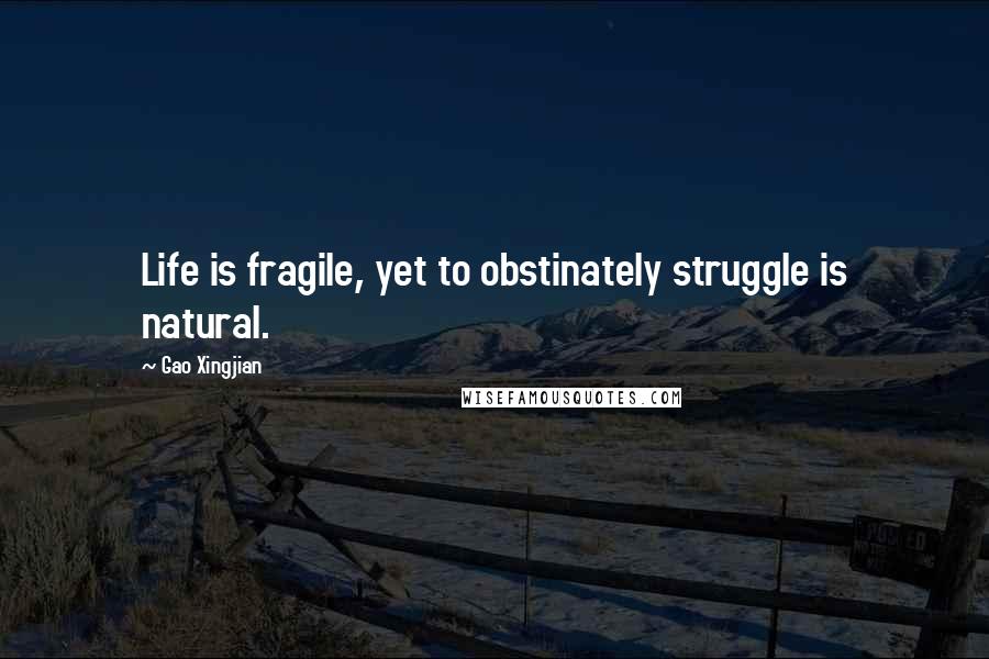 Gao Xingjian Quotes: Life is fragile, yet to obstinately struggle is natural.