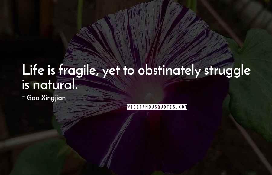 Gao Xingjian Quotes: Life is fragile, yet to obstinately struggle is natural.