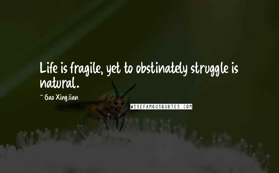 Gao Xingjian Quotes: Life is fragile, yet to obstinately struggle is natural.