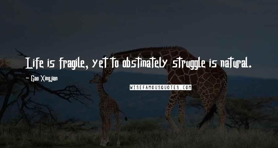 Gao Xingjian Quotes: Life is fragile, yet to obstinately struggle is natural.